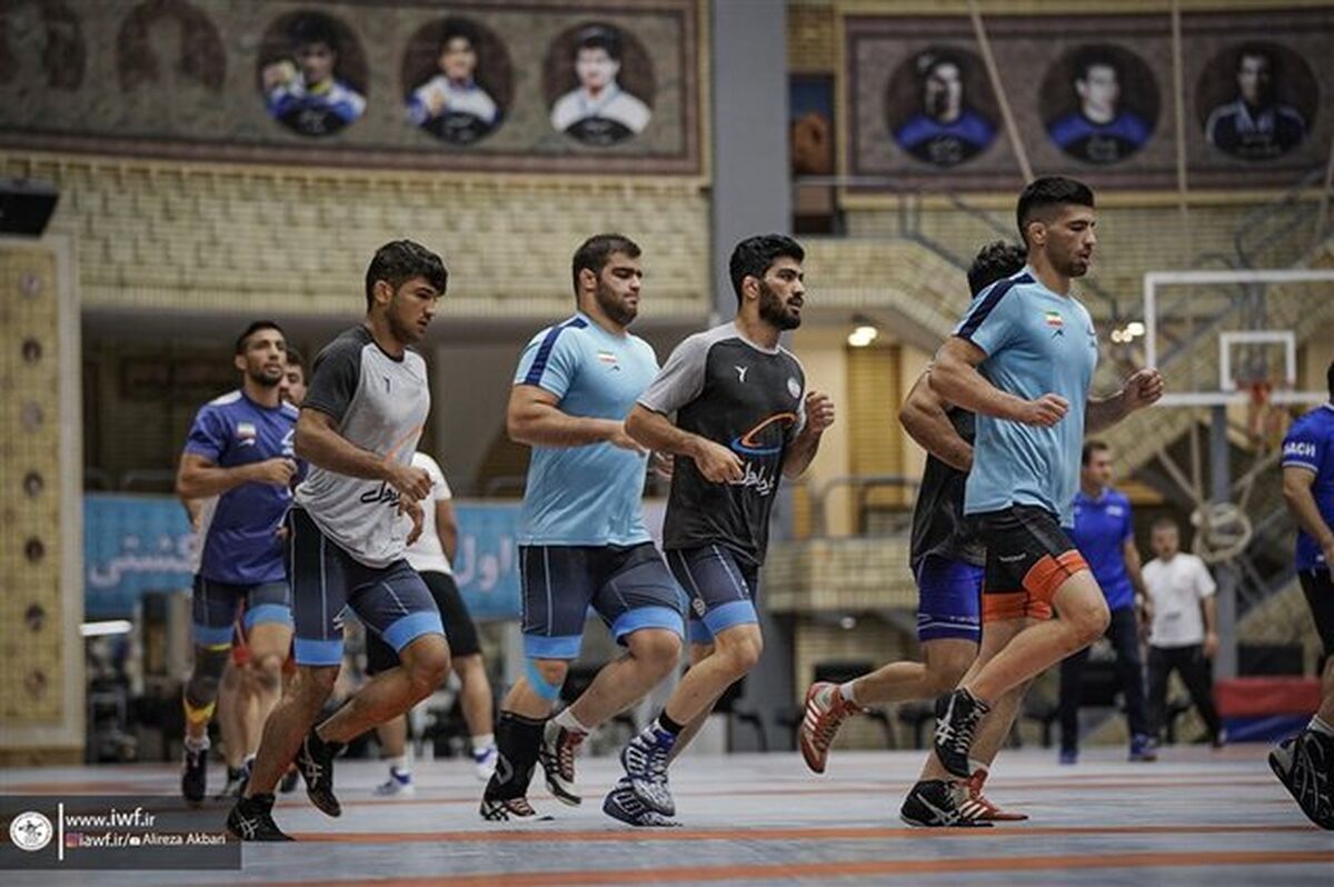 دعوت از ۱۵ فرنگی‌کار به اردوی تیم ملی
